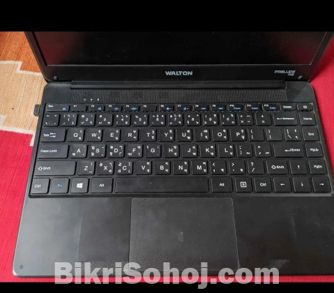 Walton laptop